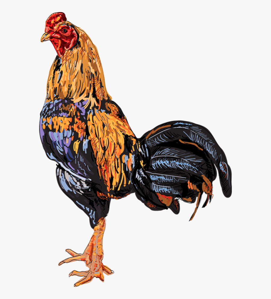 Chicken Thai Logo, Transparent Clipart