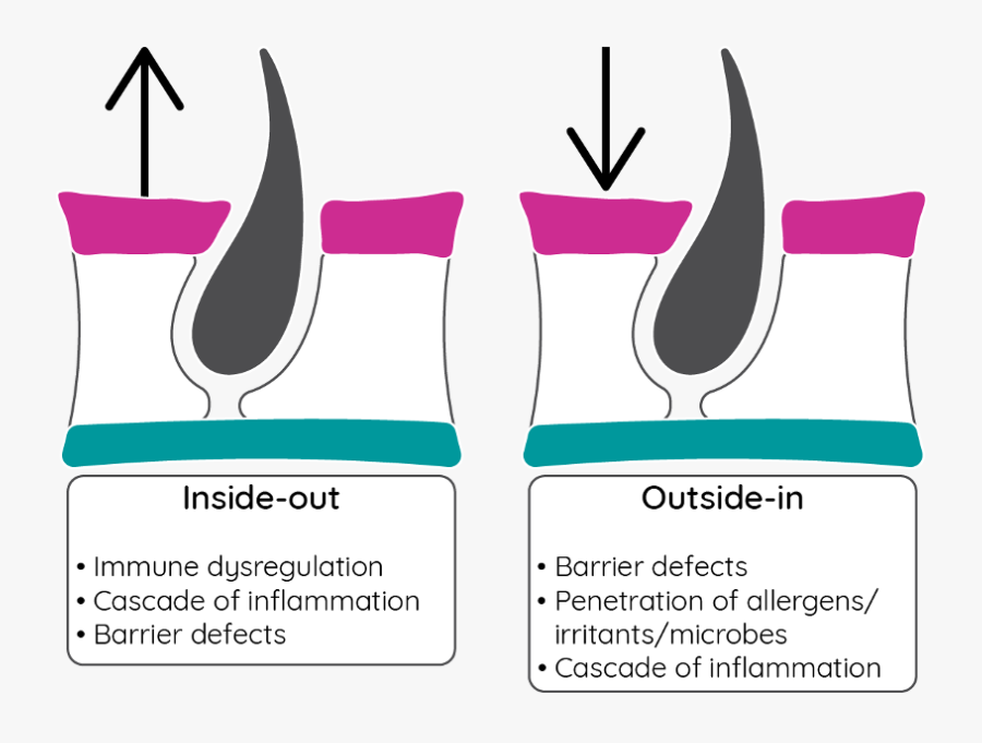 Inside Out Atopic Dermatitis, Transparent Clipart
