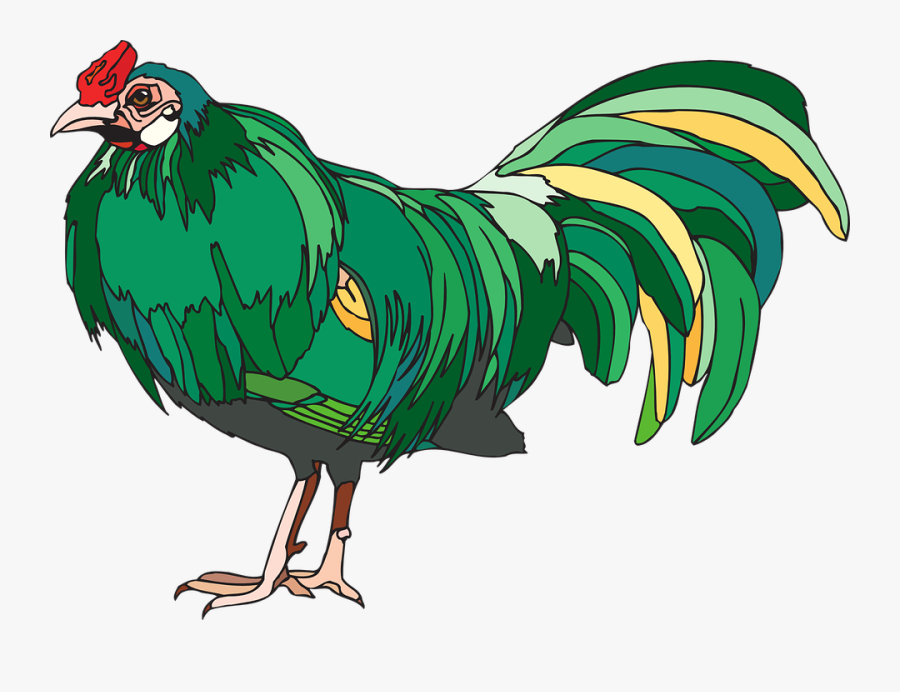 Chicken, Hen, Poultry, Farm, Animal, Feathers, Green - Chicken Vector Green, Transparent Clipart