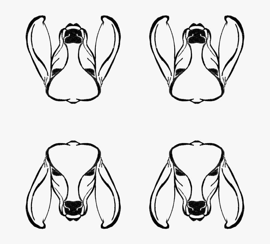 Cattle Clipart Brahman Cow - Brahma Cows Drawing, Transparent Clipart