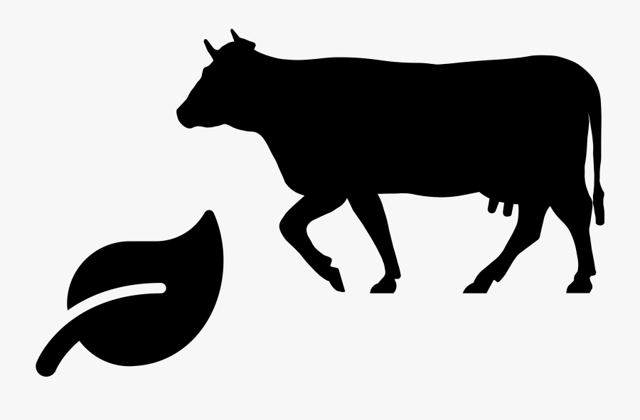 Beef Cattle, Transparent Clipart