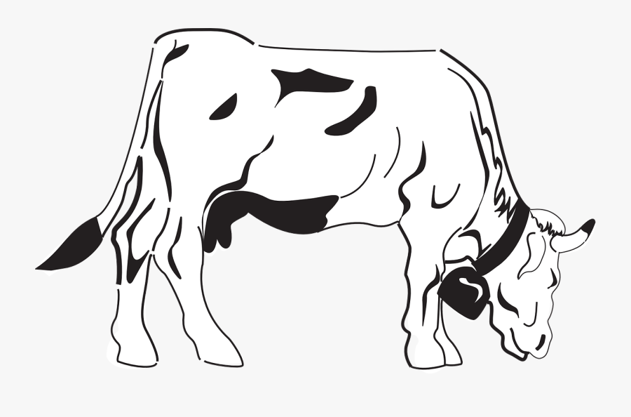 Cow, Grazing, Eating, Livestock, Cattle, Farm, Animal - Coloring Pages Of Cow, Transparent Clipart