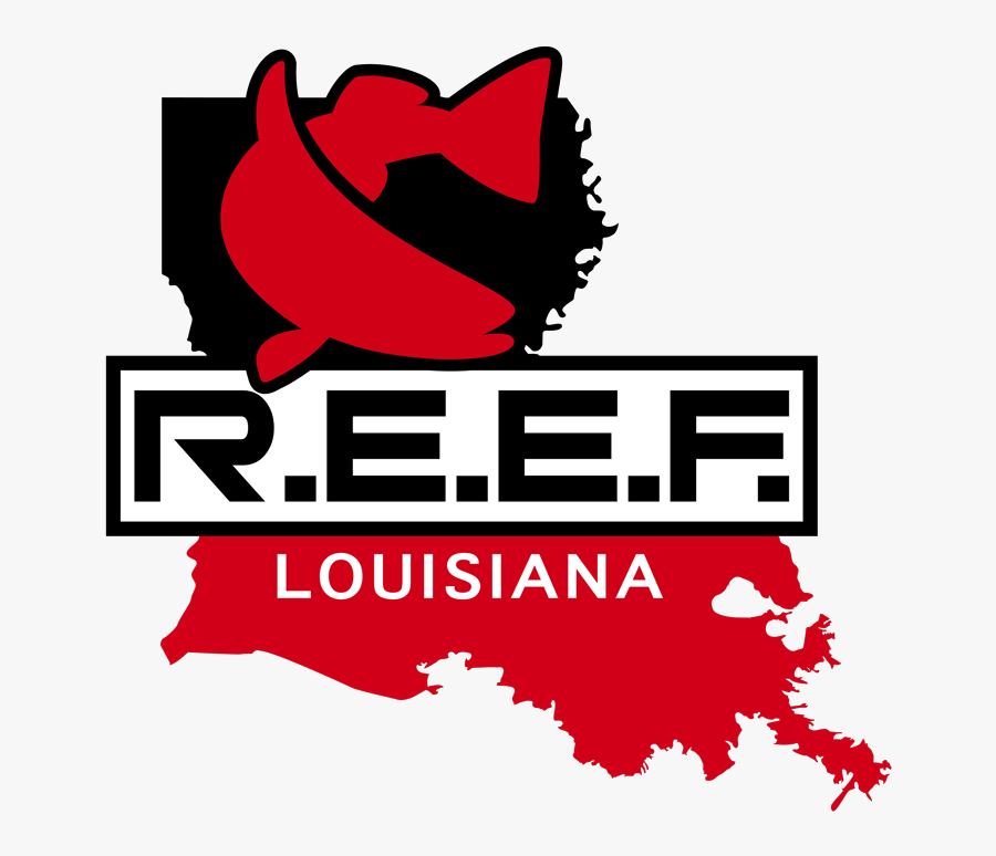 Food Bank Of Northwest Louisiana, Transparent Clipart