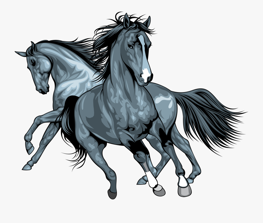 Wild Horse Clip Art - Realistic Animal Vector Illustration, Transparent Clipart