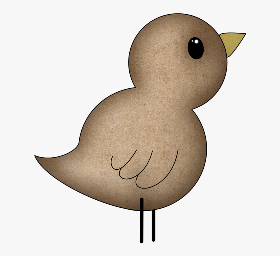 Canvasback Duck, Transparent Clipart