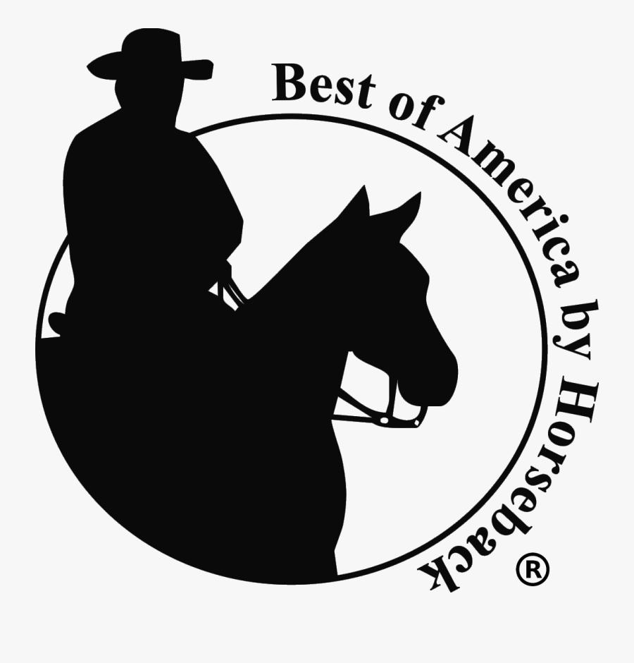 Trail Riding Clipart , Png Download - Mare, Transparent Clipart