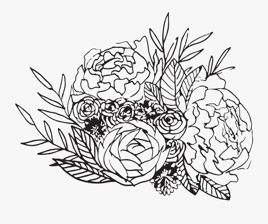 Line Art, Transparent Clipart