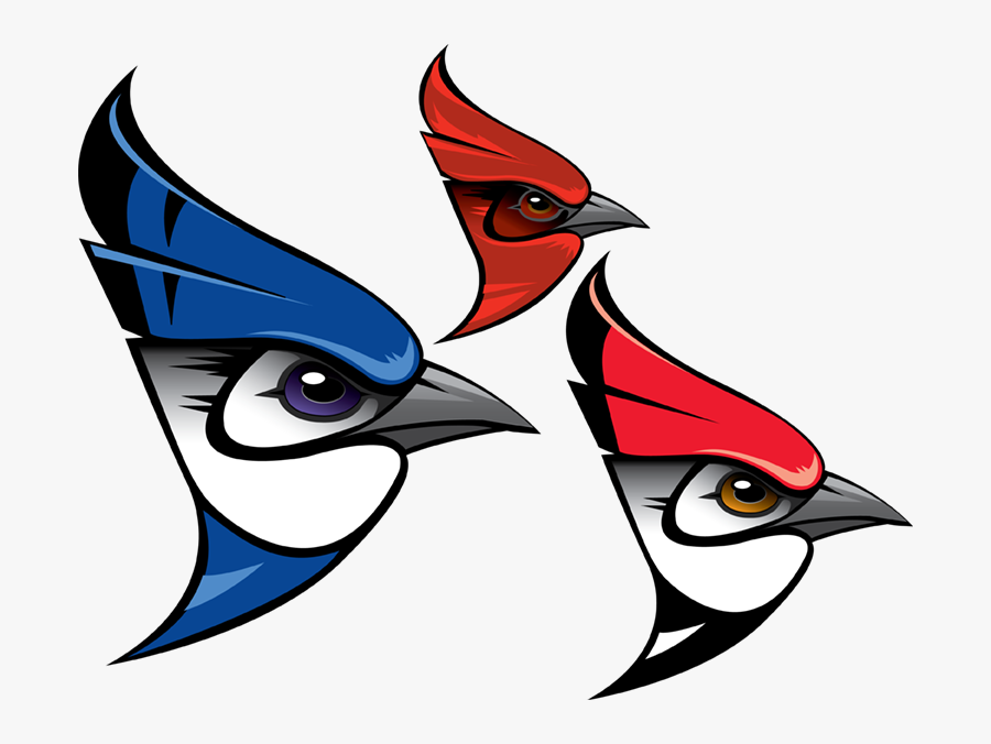 European Swallow, Transparent Clipart