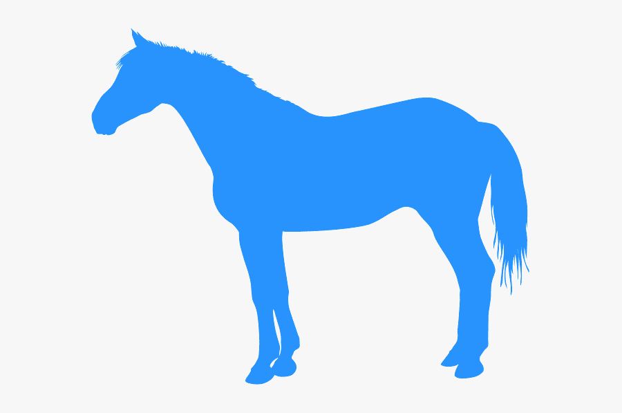 Orange Horse Silhouette, Transparent Clipart