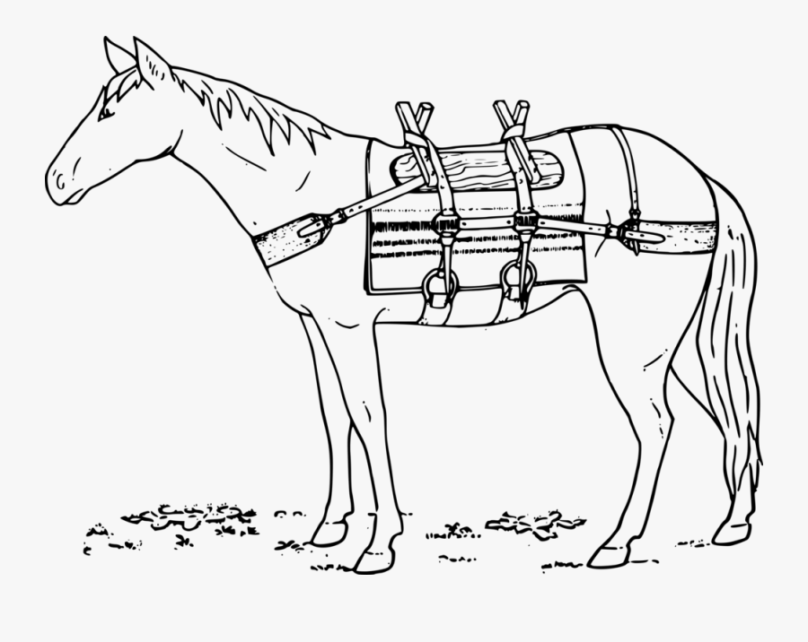 Donkey Clipart Mule - Mare, Transparent Clipart