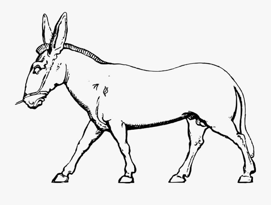 Clip Art Black And White Pictures Of Domestic Animals, Transparent Clipart