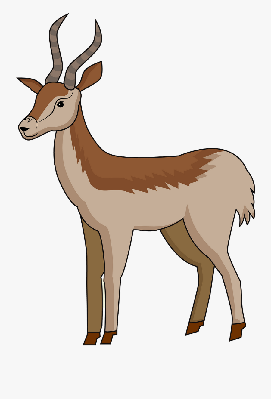 Gazelle, Transparent Clipart