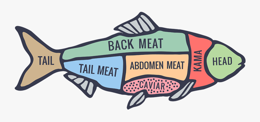 Cuts Of Fish, Transparent Clipart