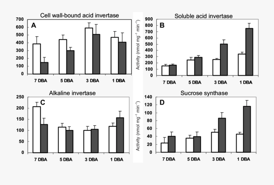 Effect Of High Temperature On The Activity Of Sucrose - Skyline, Transparent Clipart