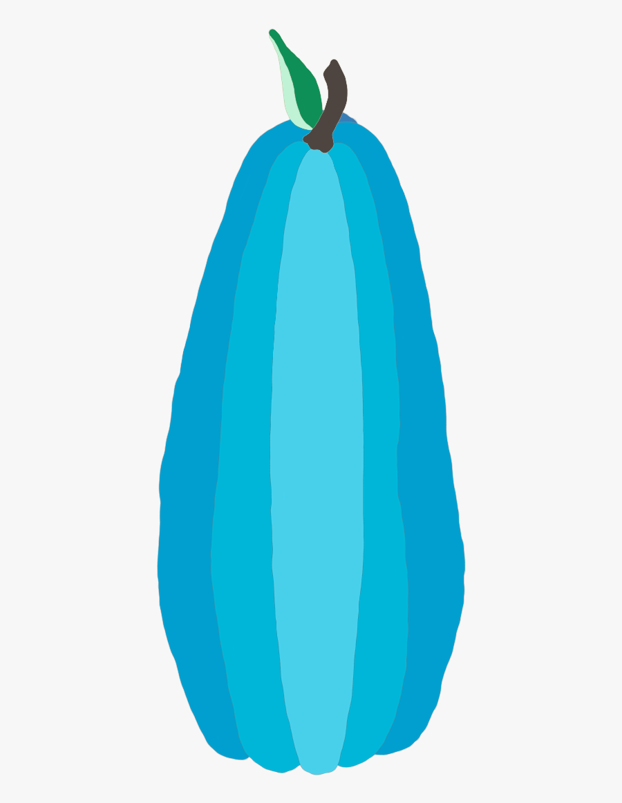 Zucchini, Transparent Clipart