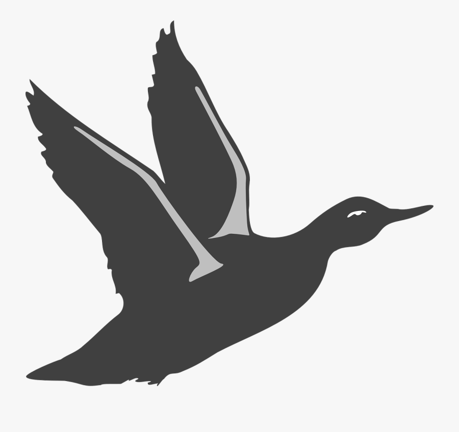 Black And White Png Of Duck - Flying Duck Silhouette Svg, Transparent Clipart