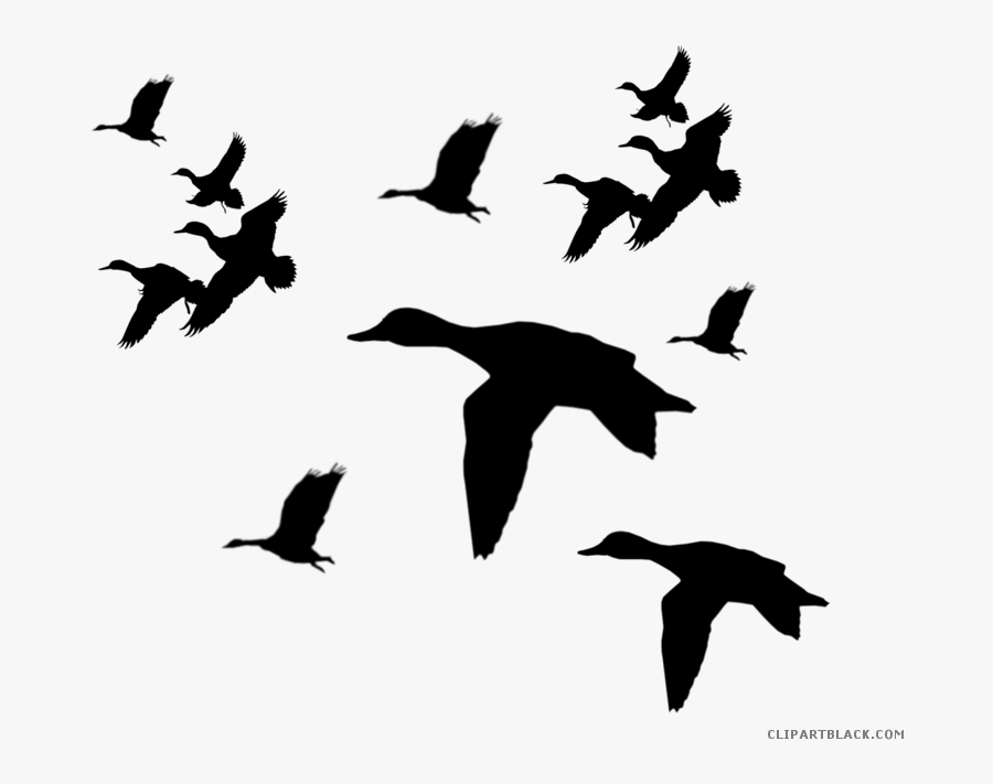 Picture Freeuse Duck Clipartblack Com Animal Free Black - Flying Ducks Silhouette Png, Transparent Clipart