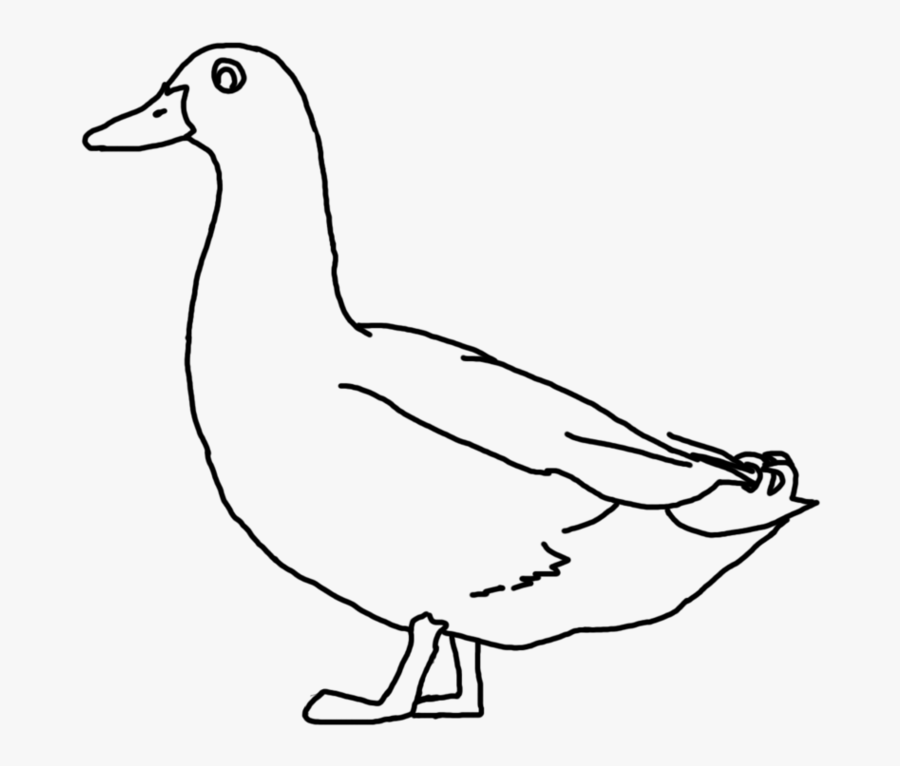 Download Duck Png Duck Line Drawing Clip Art Library - Duck Bird Drawing Png, Transparent Clipart