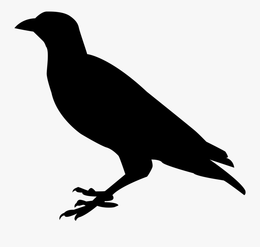 Free Photo Raven Raven Bird Crow Bird Sitting Black - Black Things Clipart, Transparent Clipart