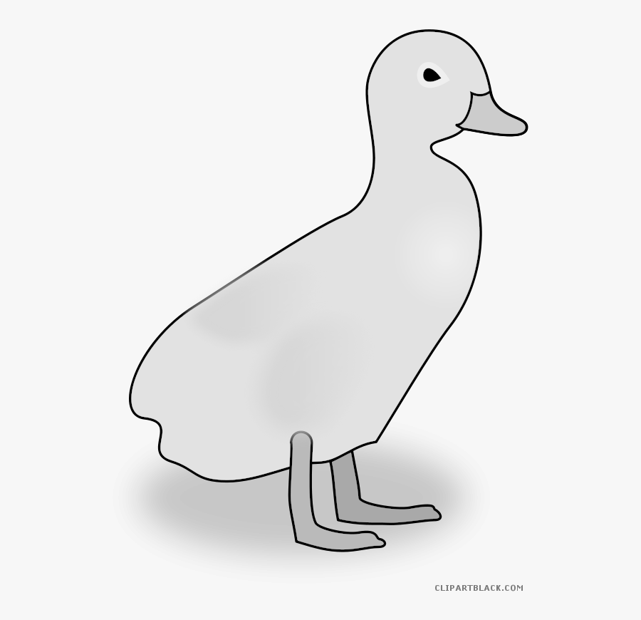 Duckling Clipart Black And White - Mallard, Transparent Clipart