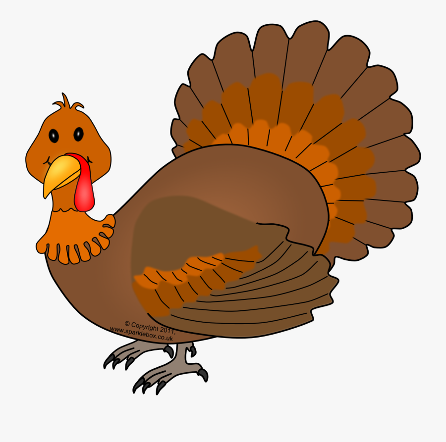 Happy Thanksgiving Turkey Pictures - Turkey Png Copyright Free, Transparent Clipart