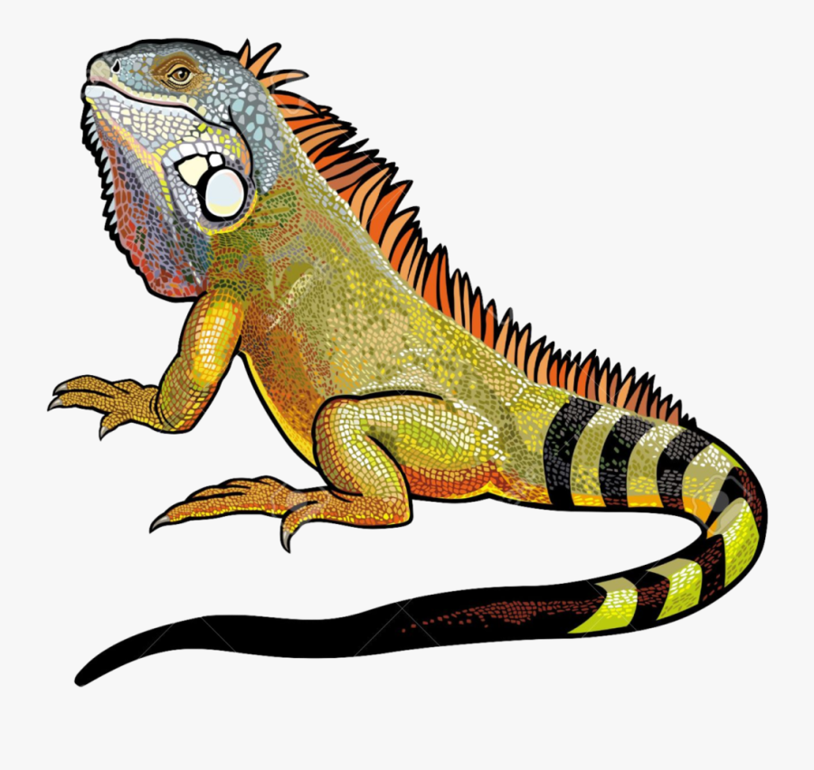 Iguana Png File Vector, Clipart, Psd - 4 Pics 1 Word Level 2462, Transparent Clipart