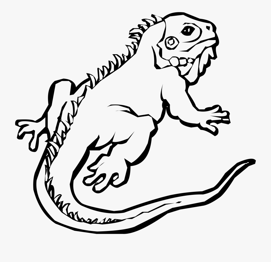 Green Iguana Ctenosaura Printable Iguana Coloring Page - Iguana Clipart Black And White, Transparent Clipart