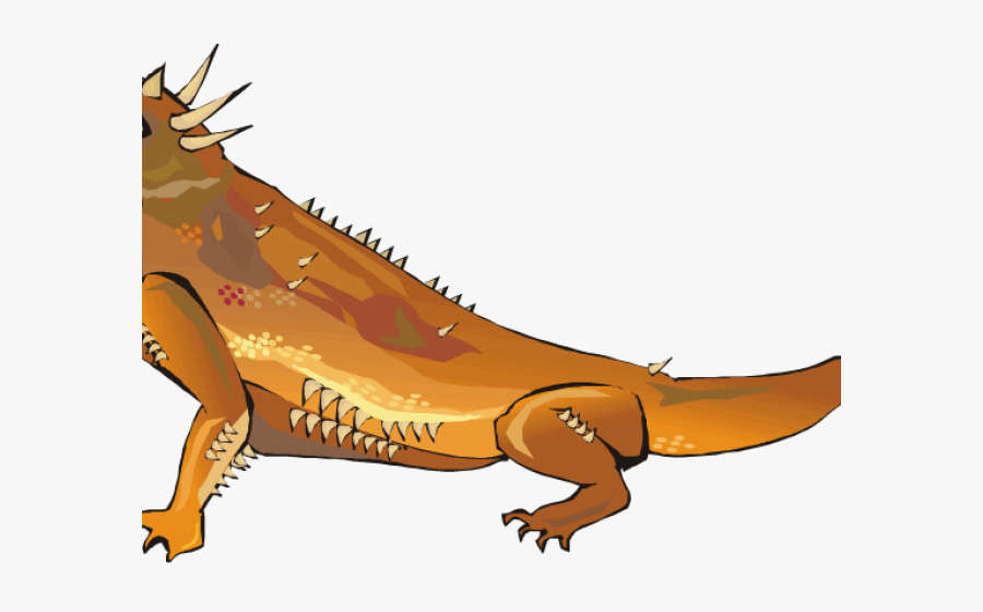 Iguana Clipart Desert Iguana - Lizard, Transparent Clipart