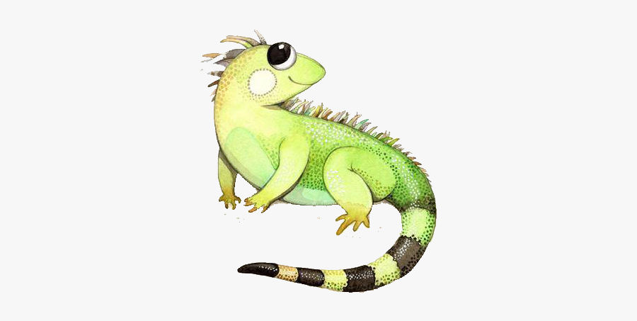 Clip Art Cute Iguana - Cartoon Iguana Drawing, Transparent Clipart