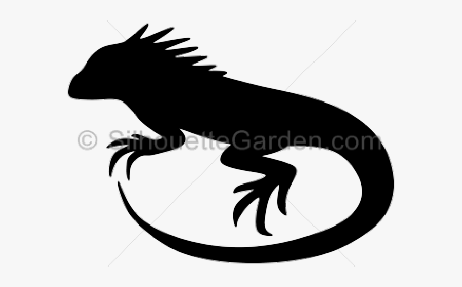Transparent Iguana Png - Green Iguana, Transparent Clipart