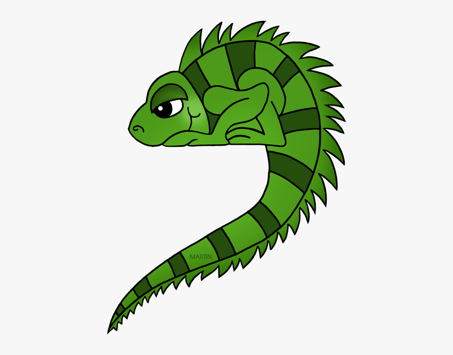 Iguana - Phillip Martin Clipart Lizard, Transparent Clipart