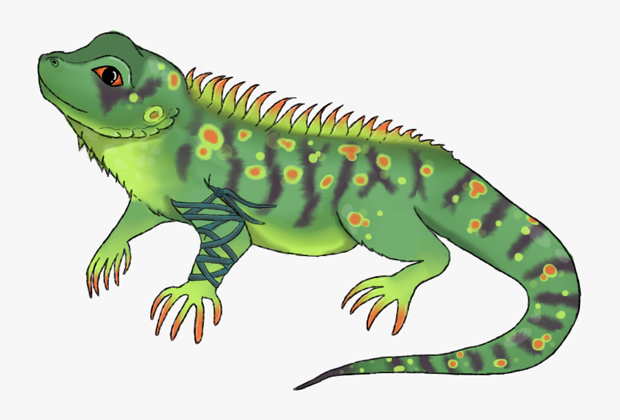 Iguana Clip Art, Transparent Clipart