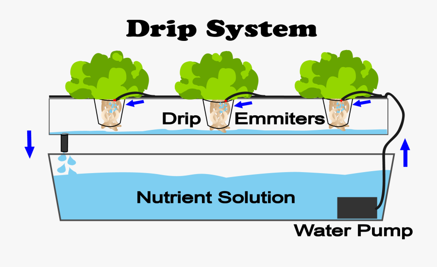 Types Of Hydroponics Systems, Transparent Clipart
