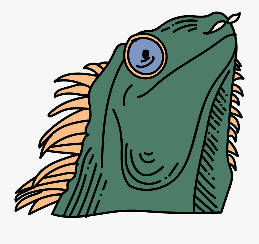 Clip Art, Transparent Clipart