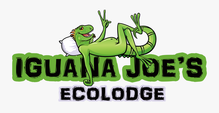 Iguana Joe"s Ecolodge - Illustration, Transparent Clipart