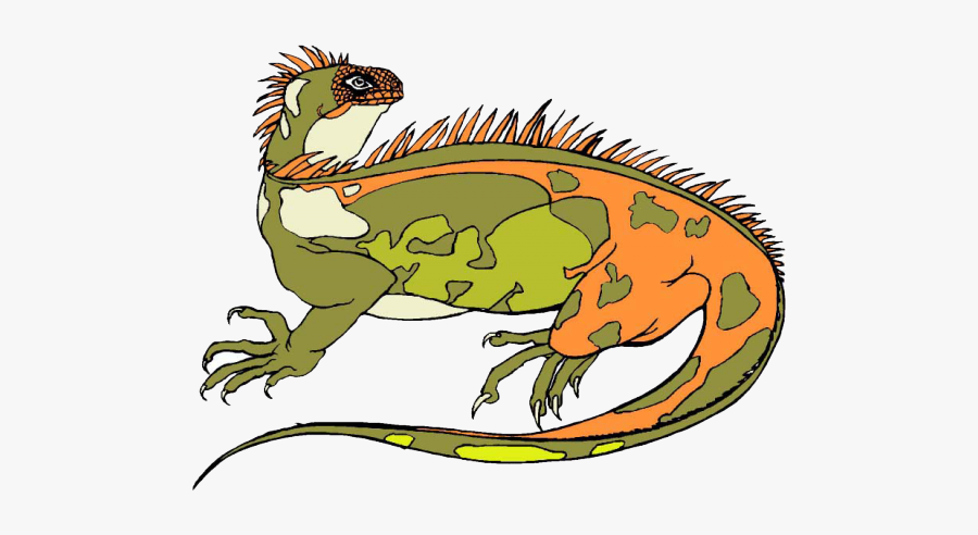 动物, Transparent Clipart