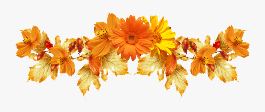Transparent Background Orange Flowers Png, Transparent Clipart