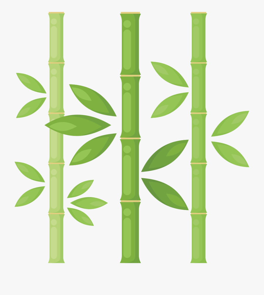 Bamboo - Bamboo Tree Drawing Png, Transparent Clipart