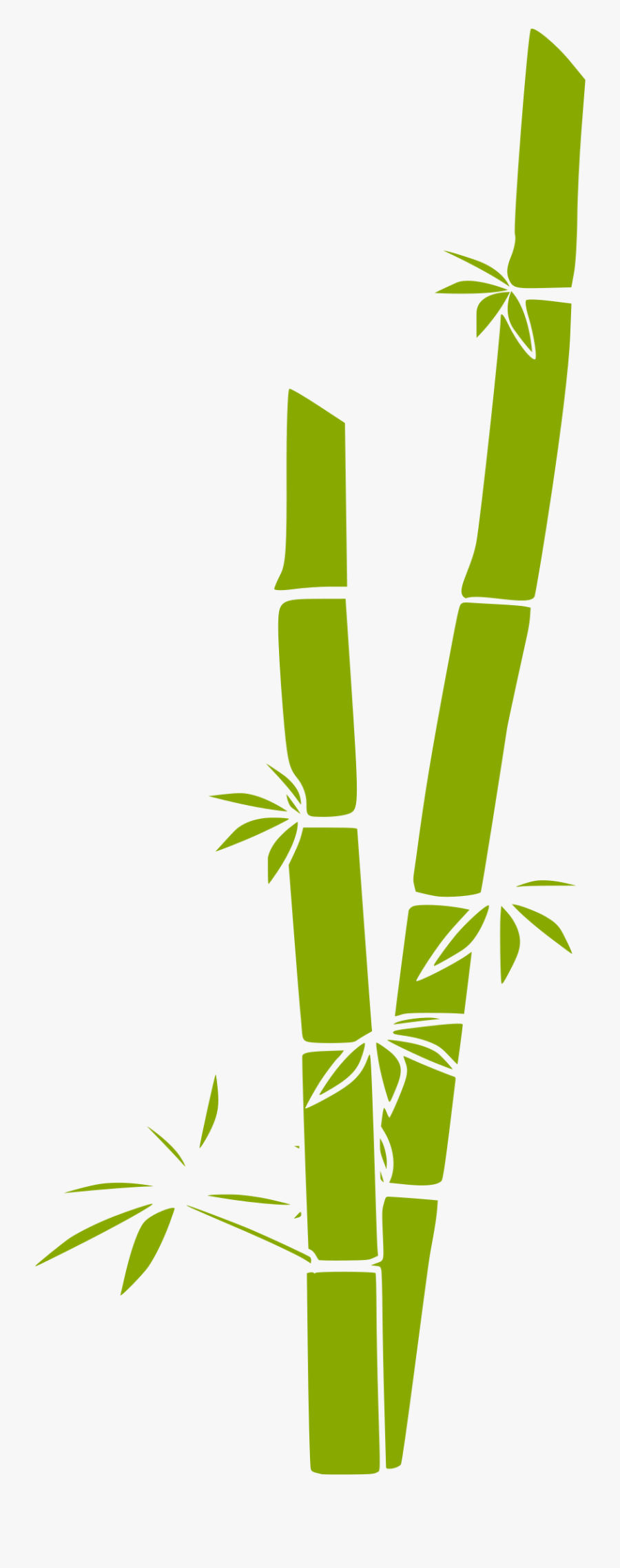 Bamboo - Bamboo Clipart, Transparent Clipart