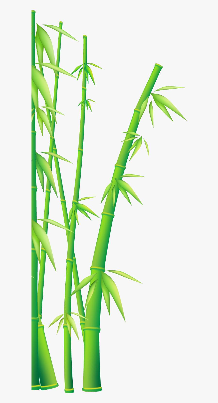 Bamboo Vector Clipart , Png Download - Bamboo Clipart, Transparent Clipart