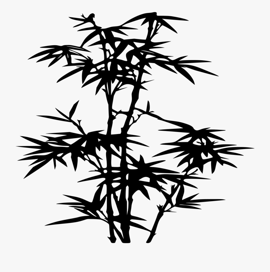 Bamboo - Clipart - Gambar Pohon Bambu Hitam Putih, Transparent Clipart