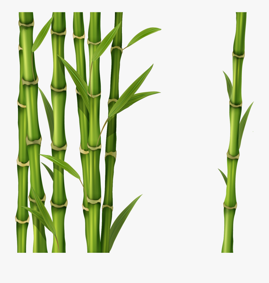 Bamboo Clip Art - Transparent Background Bamboo Transparent, Transparent Clipart