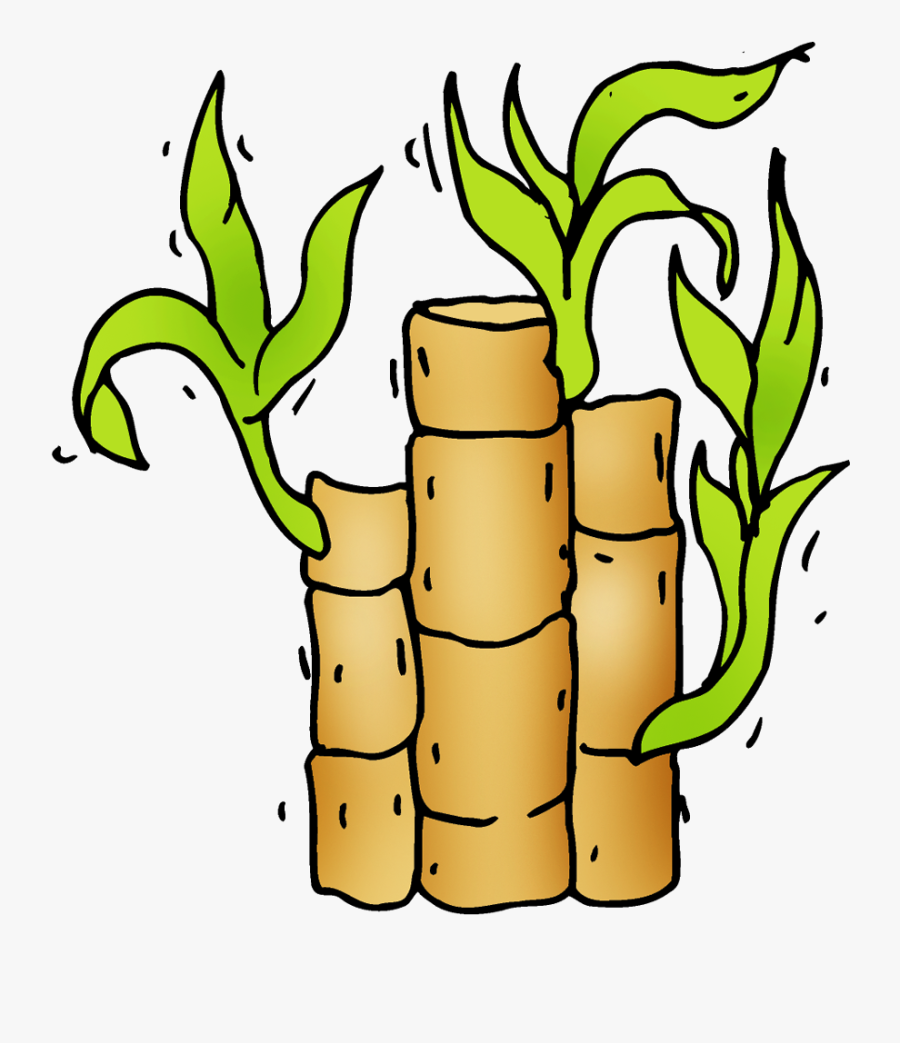 Transparent Bamboo Clipart, Transparent Clipart