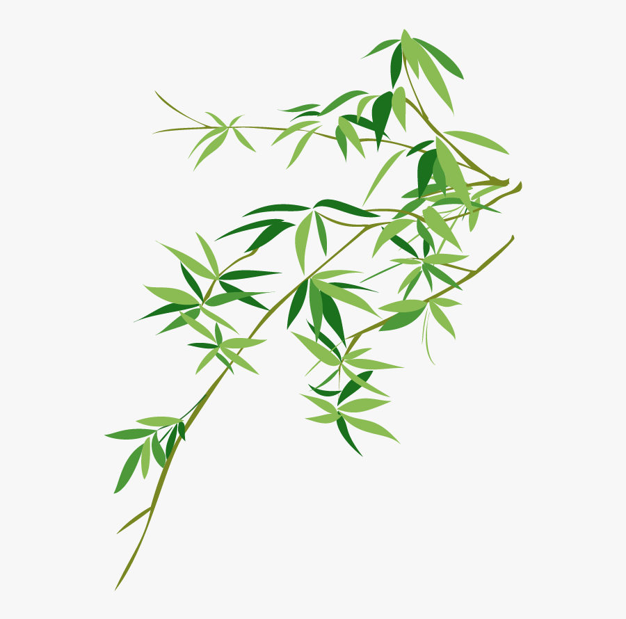 Vector Bamboo Bambusodae Painting Chinese Png Download - Bamboo Leaf Vector Png, Transparent Clipart