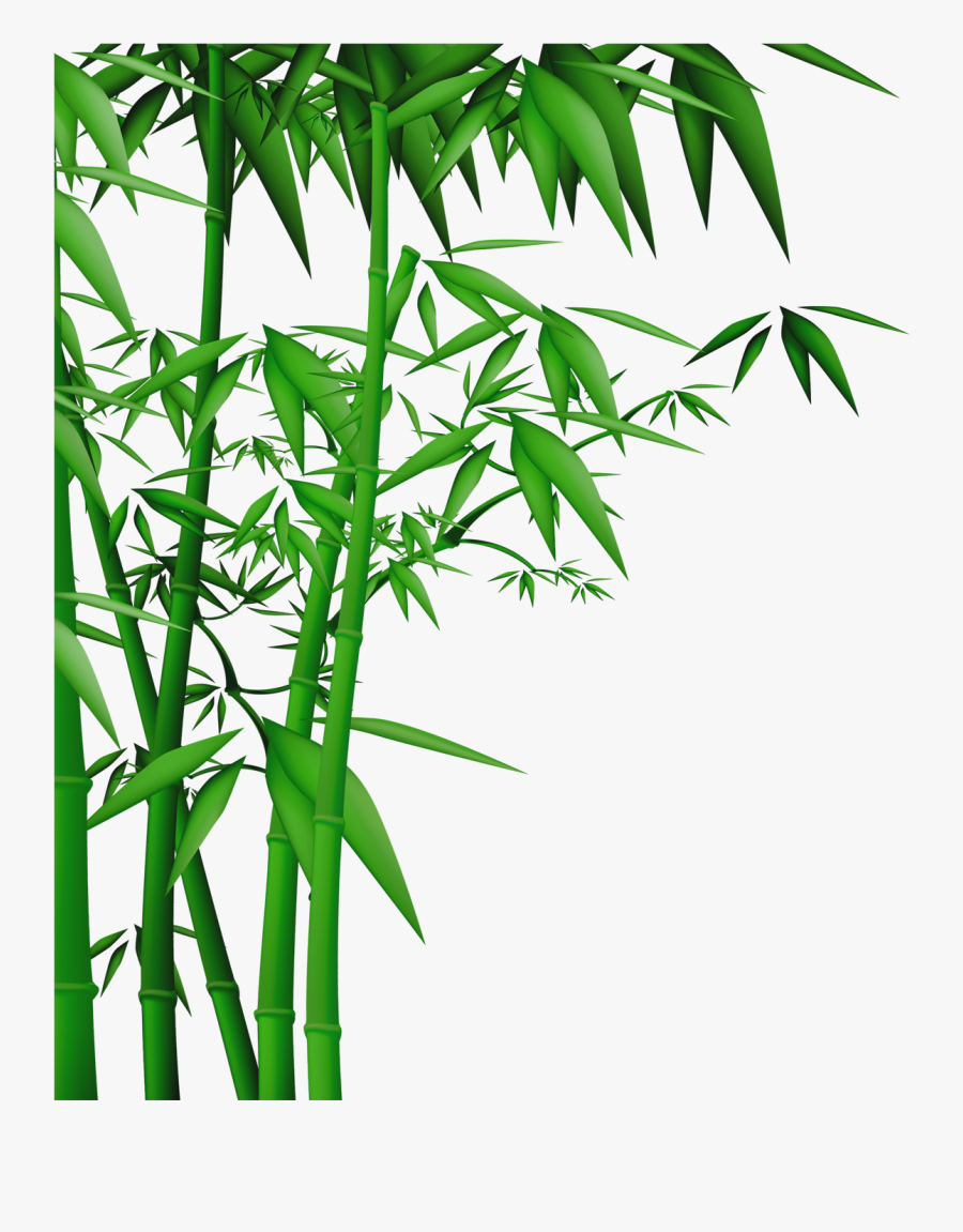 Transparent Bamboo Vector Png - Bamboo Tree Png, Transparent Clipart