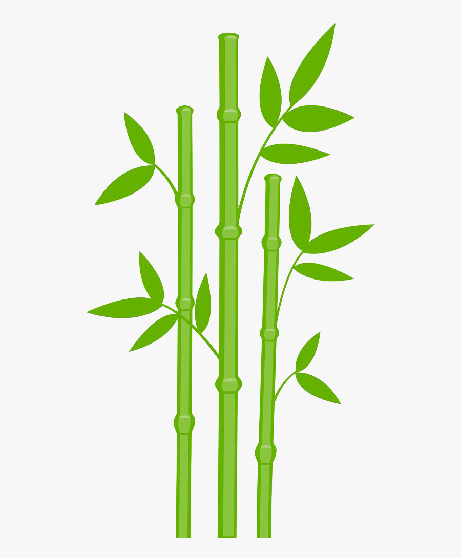 Bamboo Png Transparent Image - Bamboo Clip Art, Transparent Clipart