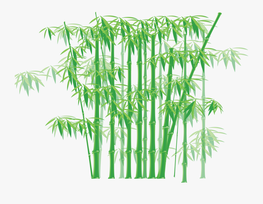 Transparent Panda Bamboo Clipart - Bamboo Tree Cartoon, Transparent Clipart