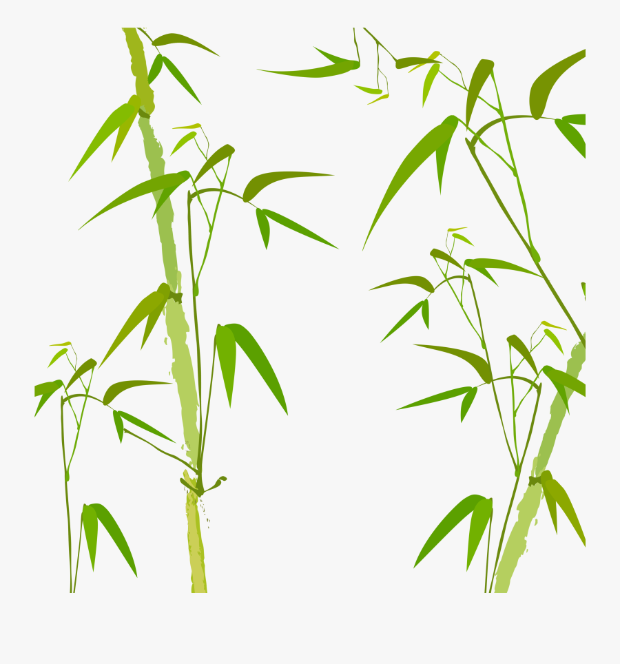 Bamboo Watercolor Painting Poster - Hình Nền Tre Trúc, Transparent Clipart