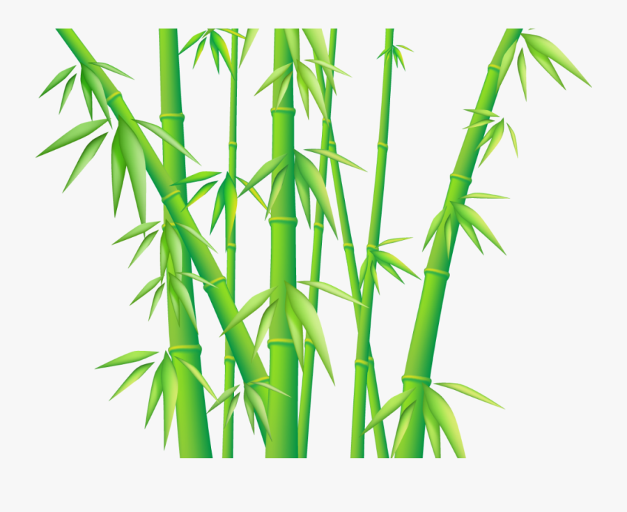 Transparent Bamboo Tree Png - Transparent Background Bamboo Transparent, Transparent Clipart