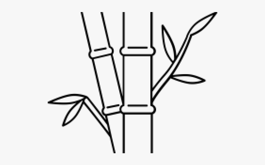 Drawn Bamboo Bamboo Stick - Line Art, Transparent Clipart
